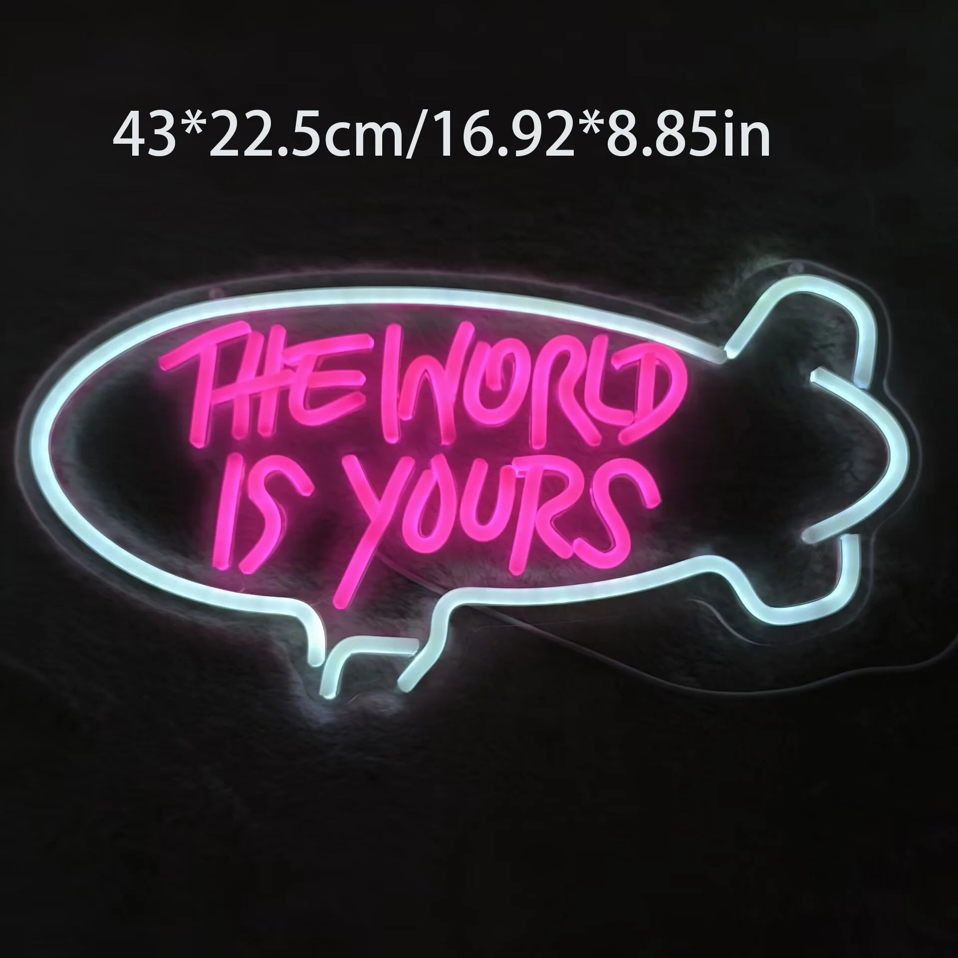 The World is Yours Neon Sign